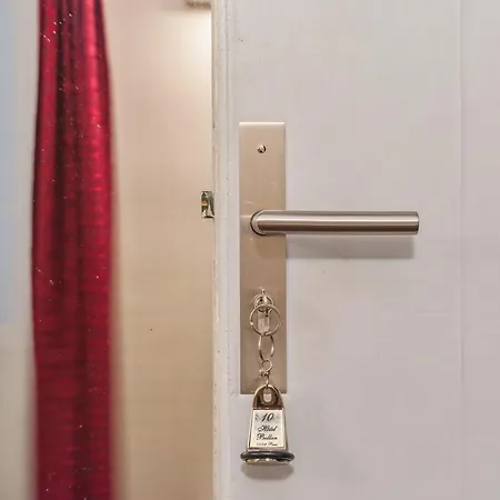 Bellan 2* 파리